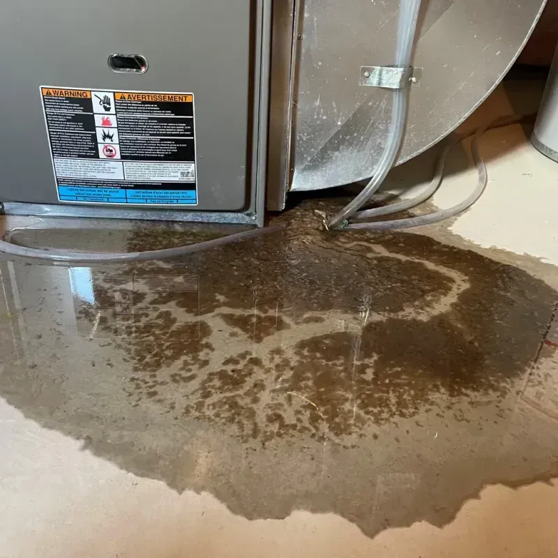 Appliance Leak Cleanup in Addison, ME